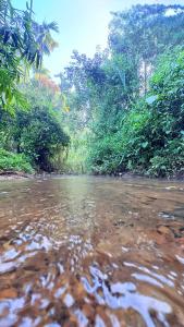 Grand Glorious Resort