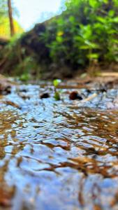 Grand Glorious Resort