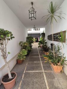 Alfonso XII Apartment