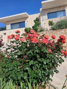 Villa Mimoza Apelati by "Elite"