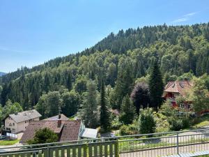 Ferienwohnung Panoramablick - super für deine Familie und die besten Aussicht in ganz Todtmoos