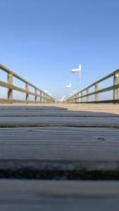 Villa Malve Wohnung 8