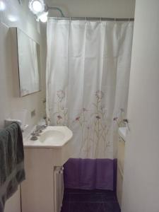 Departamento Falucho