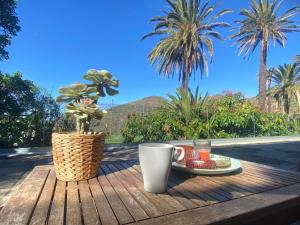 El Pirguan Holiday House, your oasis in La Gomera