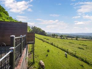 Luna Holiday Pod - Uk48590