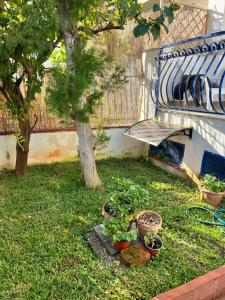 Villa del Limone , Mondello Via deucalione 18 ,via Miseno 18