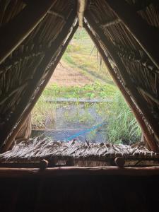 Finca Buena Vida Hostel