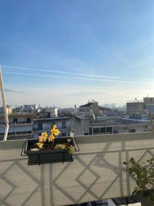 LAKE HORIZON Apartment Ioannina