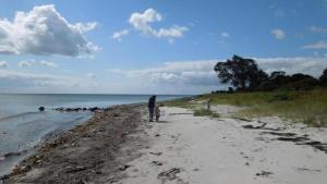 Villavilla 284 - Lohals, Fyn Og Øer