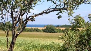 Villavilla #318 - Skåstrup Strand, Fyn Og Øer