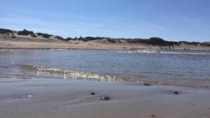 Villavilla #367 - Asserboliseleje, Nordsjælland