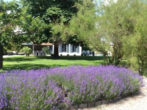 Clos Kerjuni photo 21