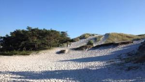 Villavilla #347 - Dueodde, Bornholm