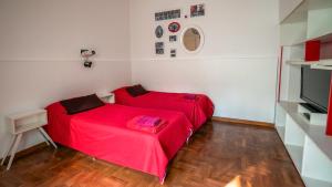 Dos Patios - Luz, tranquilidad y verde