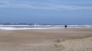 Villavilla #332 - Søndervig, Vestjylland