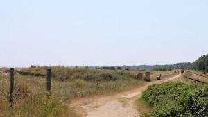 Villavilla 214 - Marielyst, Lollandfalstermøn