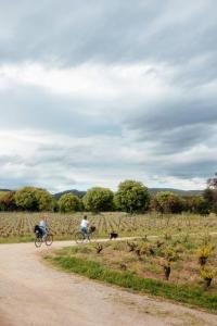 Charming House In An Organic Wine Estate