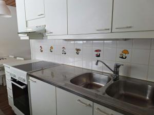 Spacious Apartment for 5