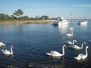 Appartements Les Marinas de Cassy : photos des chambres