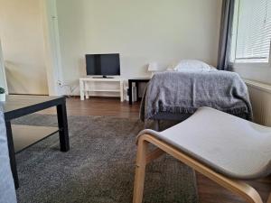 Spacious Apartment for 5