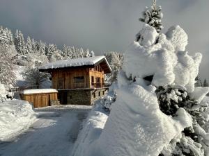 Chalet Cagou - Les Gets - Vue Mont-Blanc