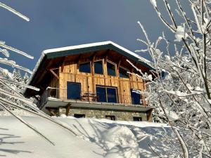 Chalet Cagou - Les Gets - Vue Mont-Blanc