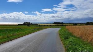 Villavilla #349 - Råbylille Strand, Lollandfalstermøn