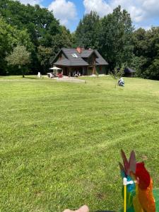 Here & Now Kazimierz, Quiet Nature House