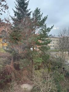 Old Town & Riverside Brzozowa Apartment by Downtown Apartments