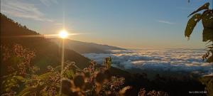 Infinite Stillness Farm