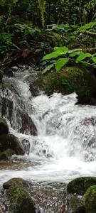 Infinite Stillness Farm