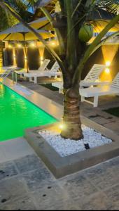 Mount Sapphire Lodge