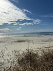 5 OClock Somewhere, dogs ok, quick walk to Ocean