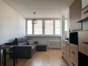 Klimatyczne mieszkanie w Centrum