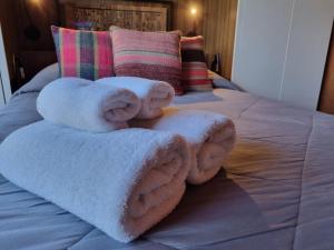 Vivero IV - Andarlibre