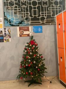 Lion University & Youth Hostel Milano