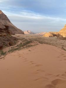 Stars light tent wadi rum