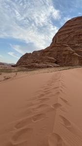 Stars light tent wadi rum