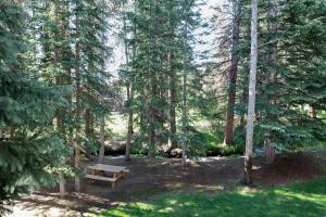 Wildwood Suites Bighorn Condo: Ski-in, Downtown Breck