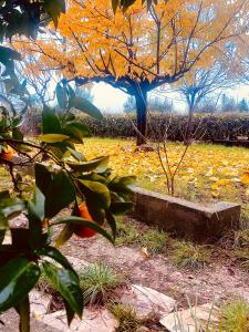 LOstal des Embruscalles