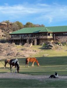 Cabaña Los Nogales- Naturaleza y relax en Altas Cumbres
