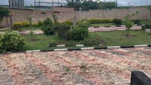 The Healing Point lodge kafue