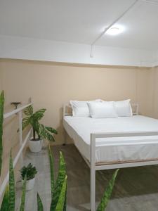 Tranquil Nest HOMESTAY