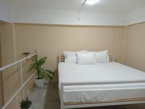 Tranquil Nest HOMESTAY