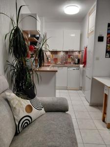 Lumineux T2 - Résidence calme - Piscine - Plages