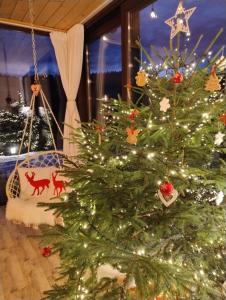 Skalny Zakątek z Grotą Solną na wyłączność