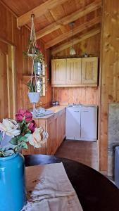 Cabaña campestre en Panguipulli