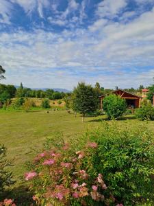 Cabaña campestre en Panguipulli
