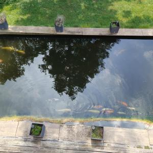 Ferienwohnung Casa Bianka Erdgeschoss