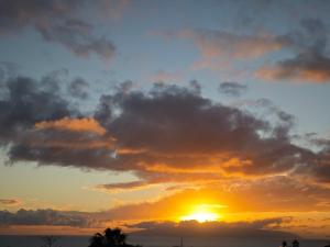 Quiet & Beautiful Room